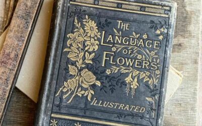 Le langage des fleurs : offrir un message qui ne se dit pas avec des mots
