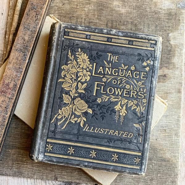 Le langage des fleurs : offrir un message qui ne se dit pas avec des mots