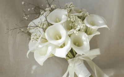 Les fleurs de saison